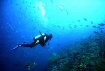 thailand samui diving