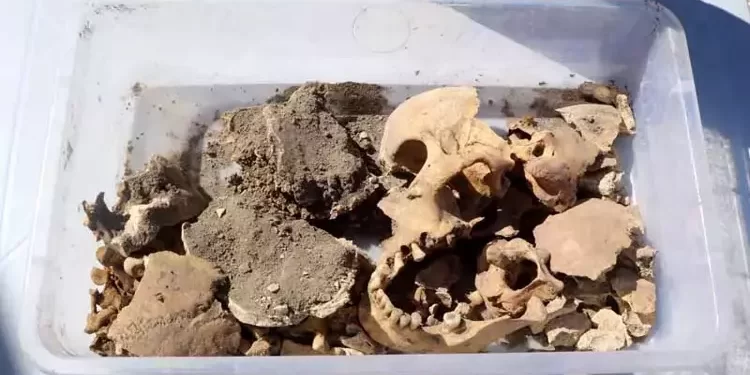 Burdur'da bulunan Hacılar Höyüğü'nde 5 bin yıllık olduğu belirlenen iskelet keşfedildi.