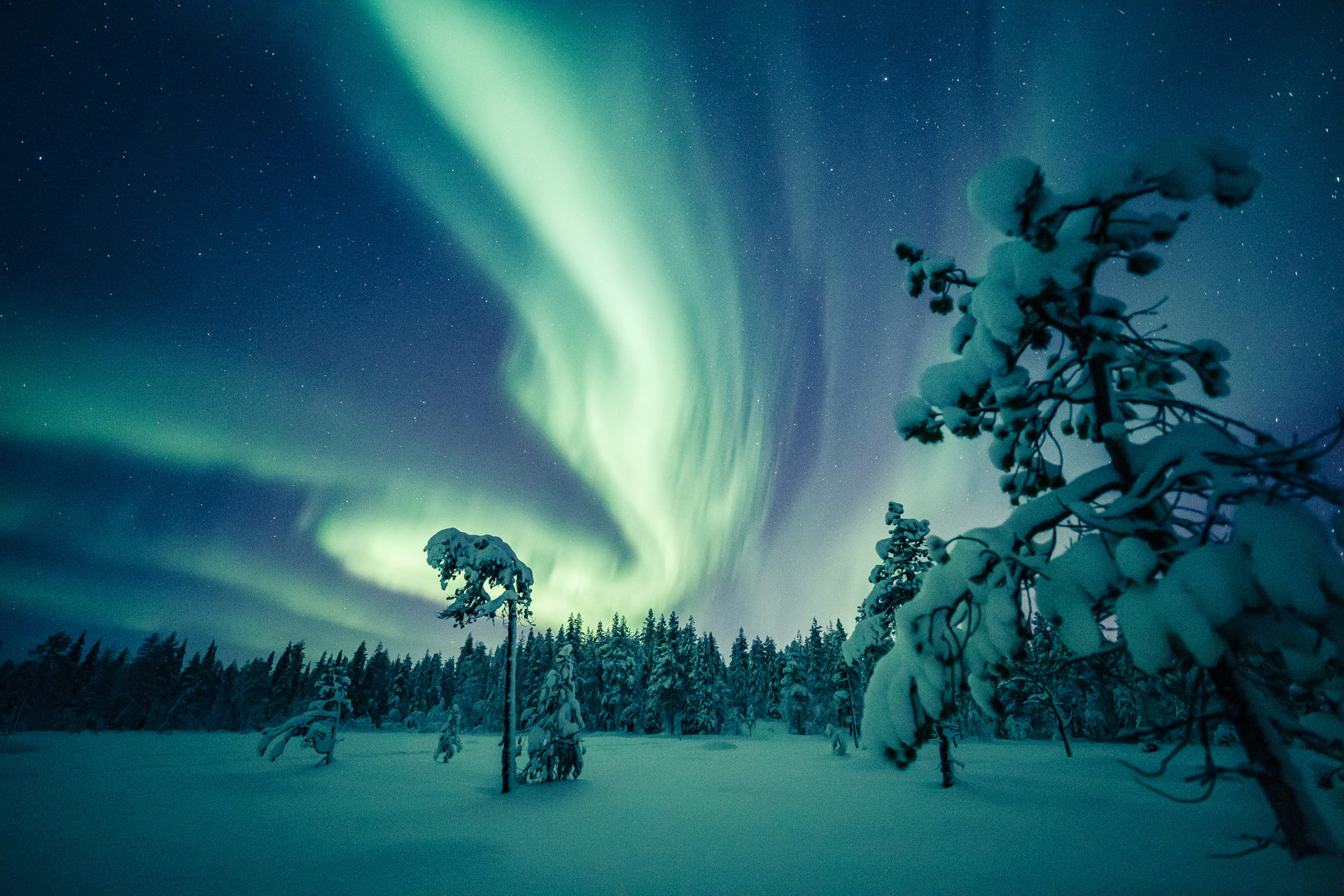 lapland turu kuzey isiklari